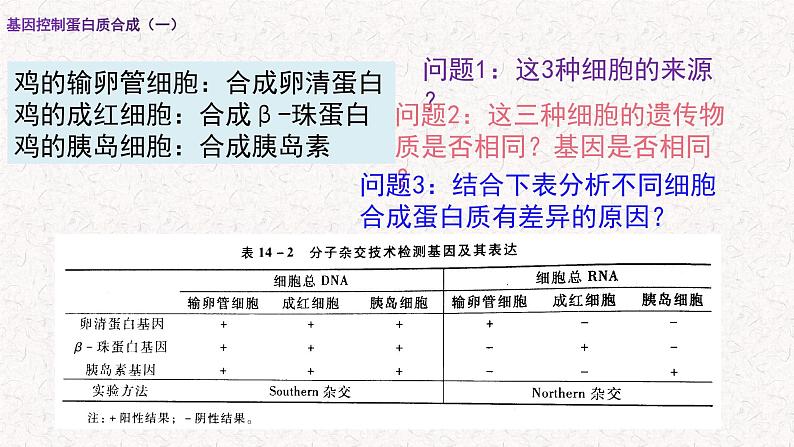 3.4.1 基因控制蛋白质合成 课件-浙科版高中生物必修2遗传与进化(共16张PPT)02