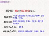 3.4.1 基因控制蛋白质合成 课件-浙科版高中生物必修2遗传与进化(共16张PPT)