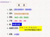 3.4.1 基因控制蛋白质合成 课件-浙科版高中生物必修2遗传与进化(共16张PPT)