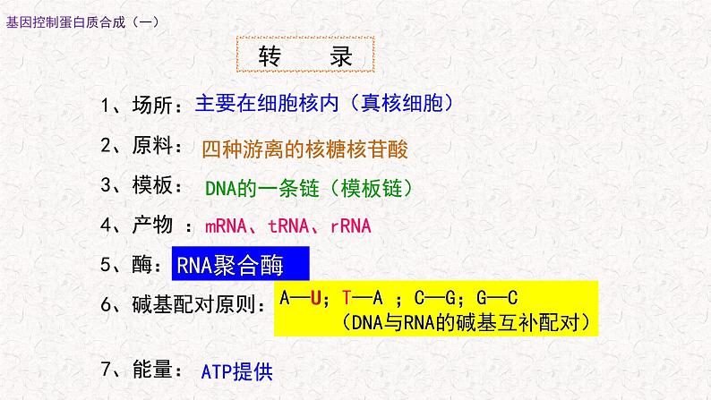 3.4.1 基因控制蛋白质合成 课件-浙科版高中生物必修2遗传与进化(共16张PPT)05