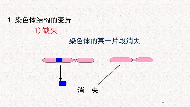 4.3.1 染色体畸变可能引起性状改变 课件-浙科版高中生物必修2遗传与进化(共27张PPT)第3页