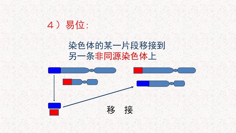 4.3.1 染色体畸变可能引起性状改变 课件-浙科版高中生物必修2遗传与进化(共27张PPT)第7页