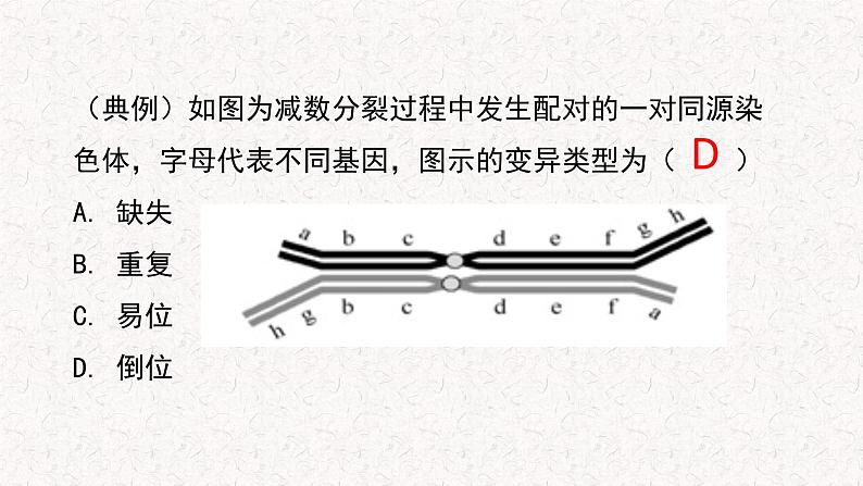 4.3.1 染色体畸变可能引起性状改变 课件-浙科版高中生物必修2遗传与进化(共27张PPT)第8页