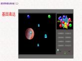 3.4.2 基因控制蛋白质合成 课件-浙科版高中生物必修2遗传与进化(共15张PPT)