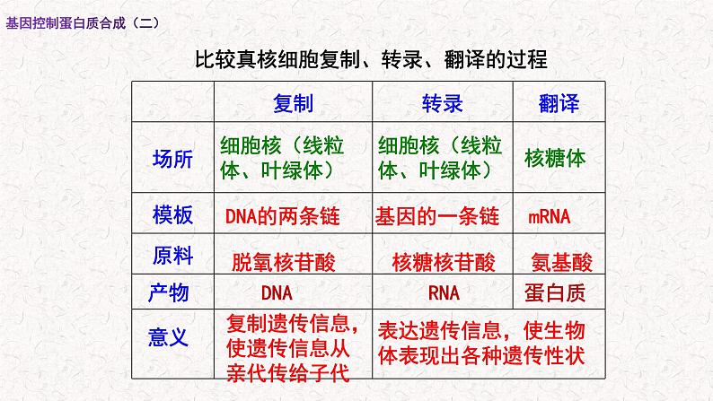 3.4.2 基因控制蛋白质合成 课件-浙科版高中生物必修2遗传与进化(共15张PPT)第3页