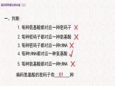 3.4.2 基因控制蛋白质合成 课件-浙科版高中生物必修2遗传与进化(共15张PPT)