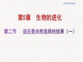 5.2.1 适应是自然选择的结果 课件-浙科版高中生物必修2遗传与进化(共14张PPT)