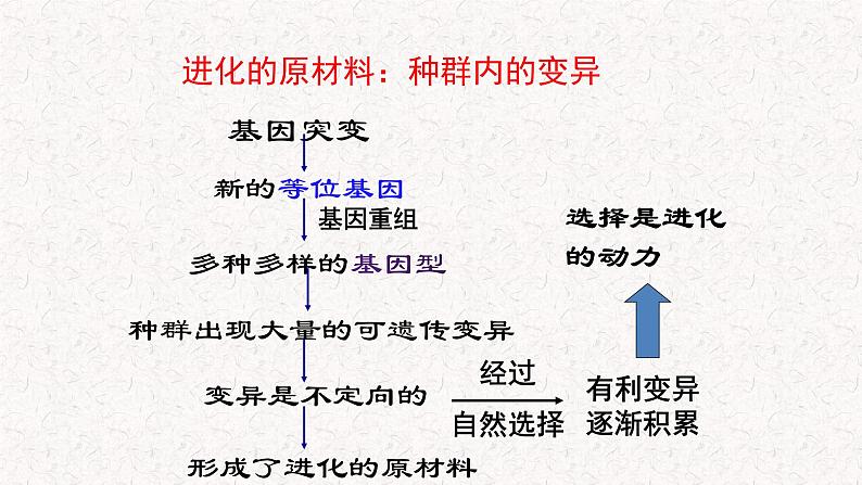 5.2.1 适应是自然选择的结果 课件-浙科版高中生物必修2遗传与进化(共14张PPT)第3页