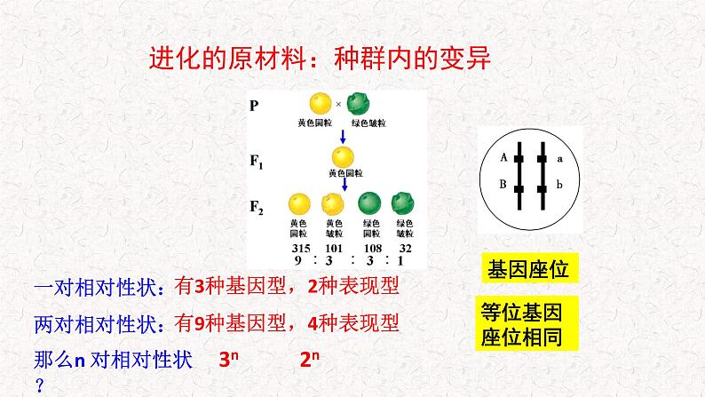 5.2.1 适应是自然选择的结果 课件-浙科版高中生物必修2遗传与进化(共14张PPT)第4页