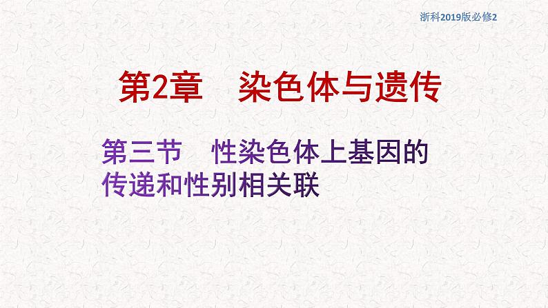 2.3 性染色体上基因的传递和性别相关联 课件-浙科版高中生物必修2遗传与进化(共12张PPT)01