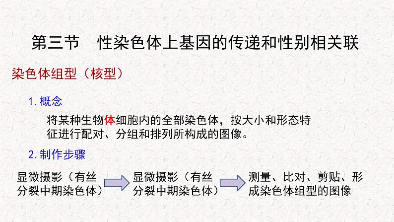 2.3 性染色体上基因的传递和性别相关联 课件-浙科版高中生物必修2遗传与进化(共12张PPT)02