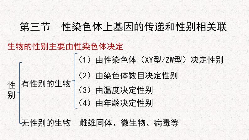 2.3 性染色体上基因的传递和性别相关联 课件-浙科版高中生物必修2遗传与进化(共12张PPT)05