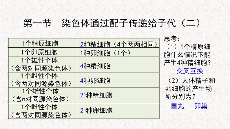 2.1.2 染色体通过配子传递给子代 课件-浙科版高中生物必修2遗传与进化(共14张PPT)04