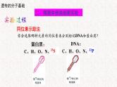 3.1.2 核酸是遗传物质 课件-浙科版高中生物必修2遗传与进化(共19张PPT)