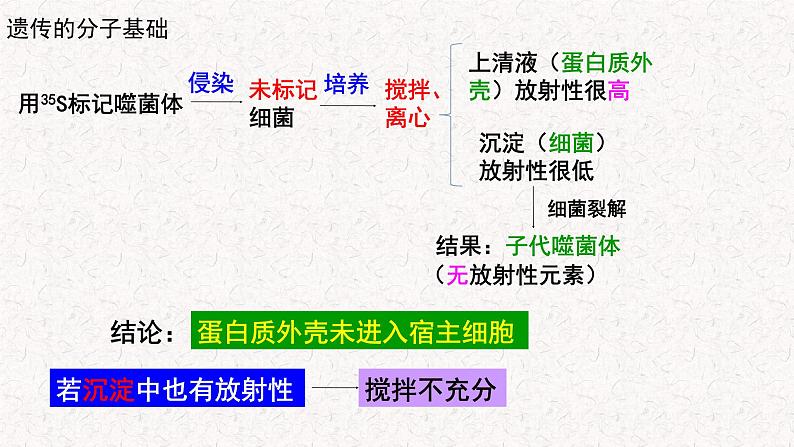 3.1.2 核酸是遗传物质 课件-浙科版高中生物必修2遗传与进化(共19张PPT)08