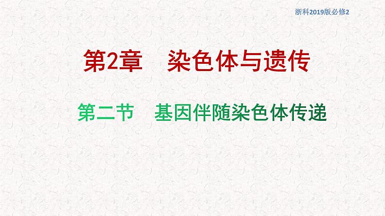 2.2 基因伴随染色体传递 课件-浙科版高中生物必修2遗传与进化(共21张PPT)01