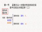 1.1.2 孟德尔从一对相对性状的杂交实验中总结出分离定律 课件-浙科版高中生物必修2遗传与进化(共22张PPT)