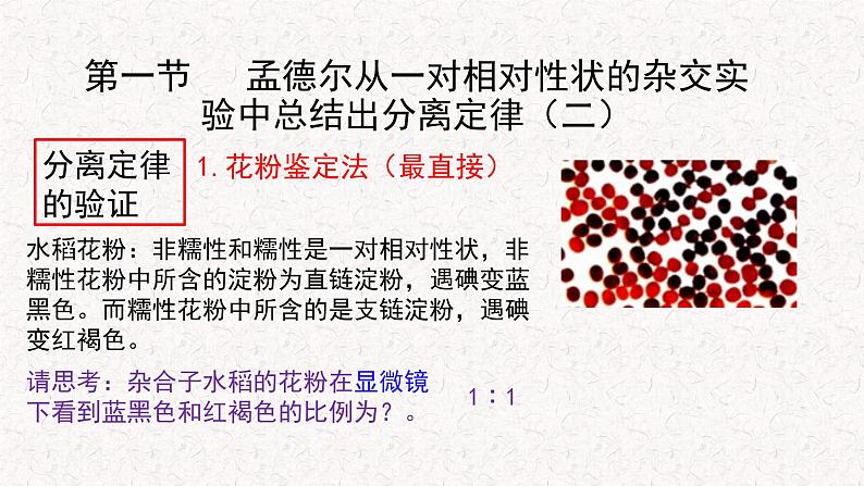 1.1.2 孟德尔从一对相对性状的杂交实验中总结出分离定律 课件-浙科版高中生物必修2遗传与进化(共22张PPT)08