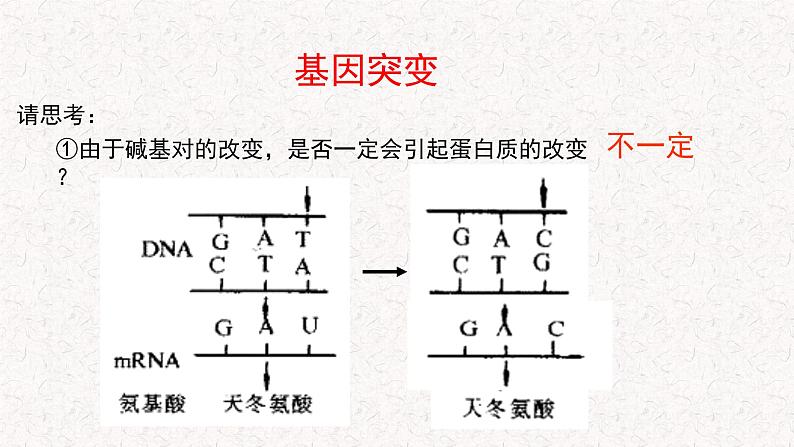 4.1 基因突变可能引起性状改变 课件-浙科版高中生物必修2遗传与进化(共22张PPT)08