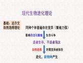 5.2.2 适应是自然选择的结果 课件-浙科版高中生物必修2遗传与进化(共17张PPT)