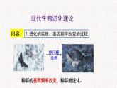5.2.2 适应是自然选择的结果 课件-浙科版高中生物必修2遗传与进化(共17张PPT)