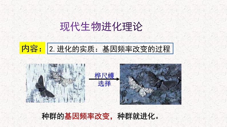 5.2.2 适应是自然选择的结果 课件-浙科版高中生物必修2遗传与进化(共17张PPT)第4页