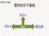 3.1.1 核酸是遗传物质 课件-浙科版高中生物必修2遗传与进化(共16张PPT)
