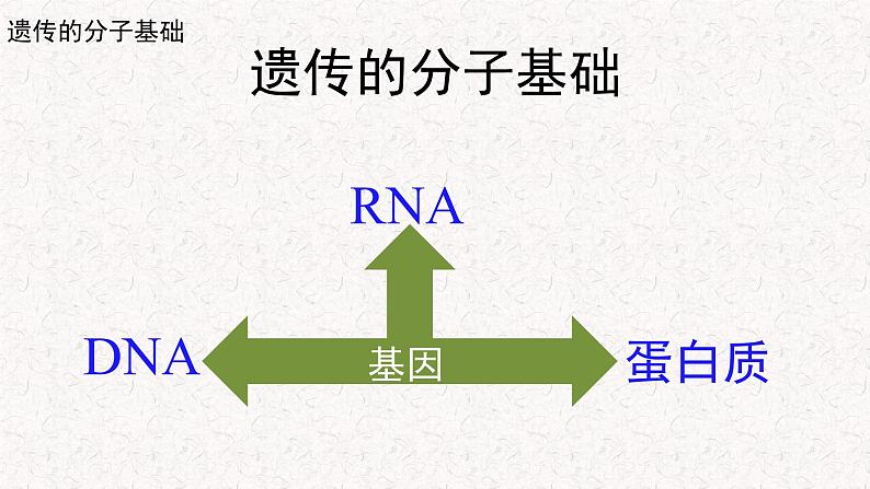 3.1.1 核酸是遗传物质 课件-浙科版高中生物必修2遗传与进化(共16张PPT)05