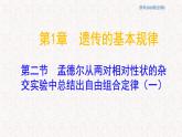 1.2.1 孟德尔从两对相对性状的杂交实验中总结出自由组合定律 课件-浙科版高中生物必修2遗传与进化(共11张PPT)