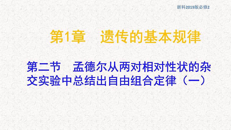 1.2.1 孟德尔从两对相对性状的杂交实验中总结出自由组合定律 课件-浙科版高中生物必修2遗传与进化(共11张PPT)01