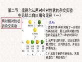 1.2.1 孟德尔从两对相对性状的杂交实验中总结出自由组合定律 课件-浙科版高中生物必修2遗传与进化(共11张PPT)