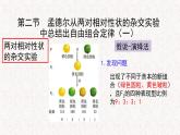 1.2.1 孟德尔从两对相对性状的杂交实验中总结出自由组合定律 课件-浙科版高中生物必修2遗传与进化(共11张PPT)