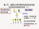 1.2.1 孟德尔从两对相对性状的杂交实验中总结出自由组合定律 课件-浙科版高中生物必修2遗传与进化(共11张PPT)
