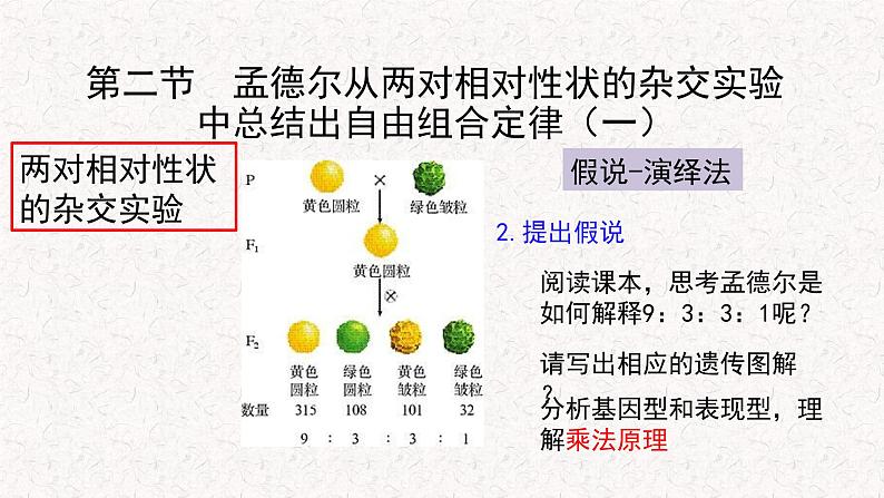 1.2.1 孟德尔从两对相对性状的杂交实验中总结出自由组合定律 课件-浙科版高中生物必修2遗传与进化(共11张PPT)04