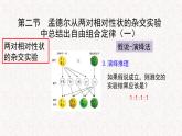 1.2.1 孟德尔从两对相对性状的杂交实验中总结出自由组合定律 课件-浙科版高中生物必修2遗传与进化(共11张PPT)
