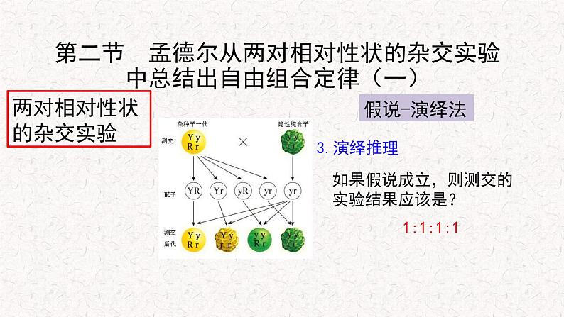 1.2.1 孟德尔从两对相对性状的杂交实验中总结出自由组合定律 课件-浙科版高中生物必修2遗传与进化(共11张PPT)05