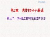 3.3 DNA通过复制传递遗传信息 课件-浙科版高中生物必修2遗传与进化(共16张PPT)