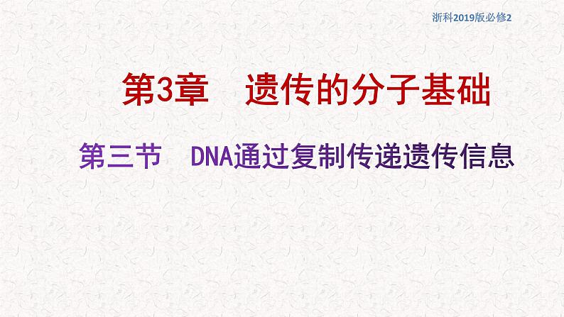 3.3 DNA通过复制传递遗传信息 课件-浙科版高中生物必修2遗传与进化(共16张PPT)第1页