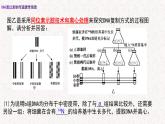 3.3 DNA通过复制传递遗传信息 课件-浙科版高中生物必修2遗传与进化(共16张PPT)
