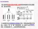 3.3 DNA通过复制传递遗传信息 课件-浙科版高中生物必修2遗传与进化(共16张PPT)