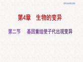 4.2 基因重组使子代出现变异 课件-浙科版高中生物必修2遗传与进化(共12张PPT)