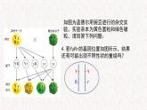 4.2 基因重组使子代出现变异 课件-浙科版高中生物必修2遗传与进化(共12张PPT)
