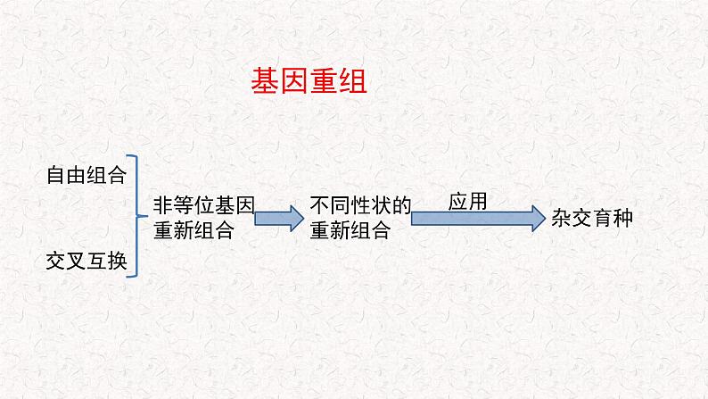 4.2 基因重组使子代出现变异 课件-浙科版高中生物必修2遗传与进化(共12张PPT)第5页