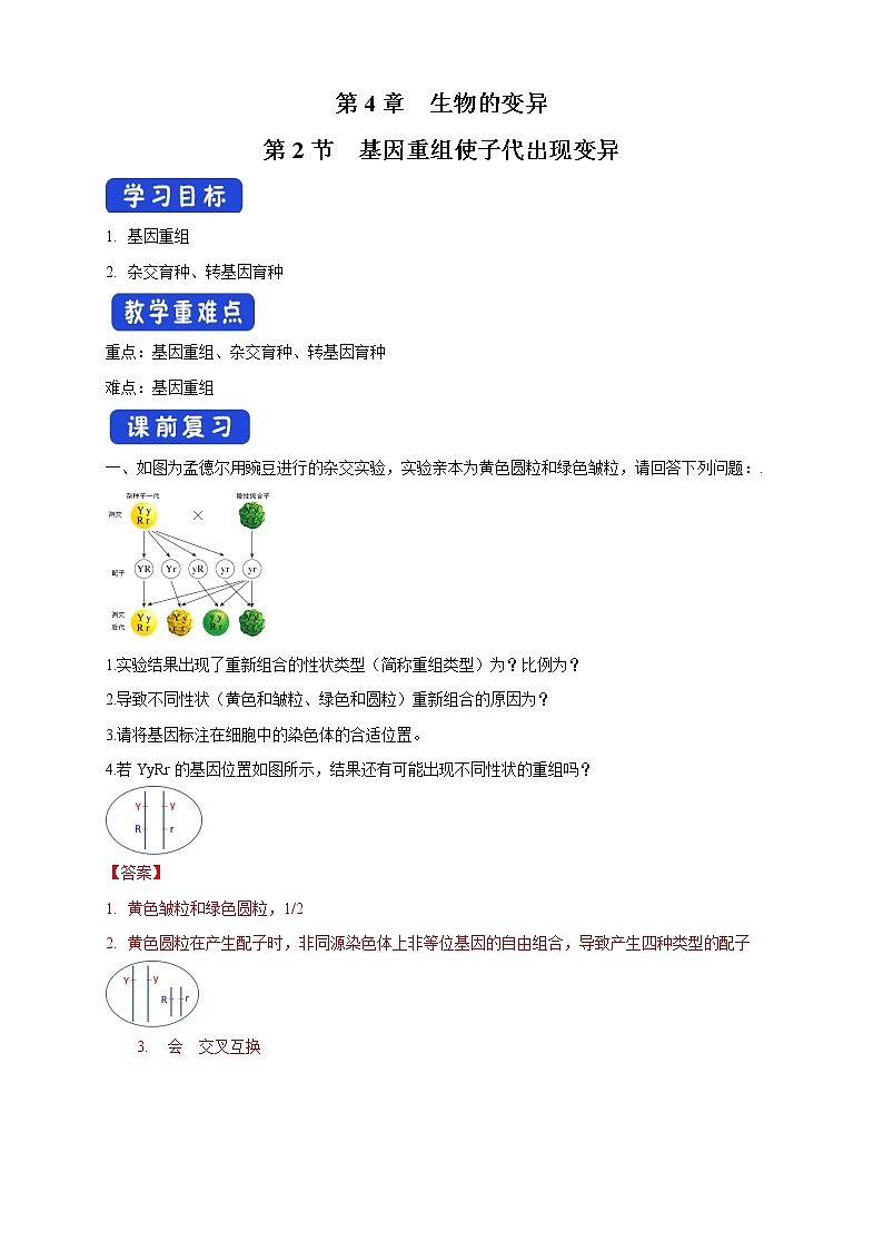 4.2 基因重组使子代出现变异 导学案-浙科版高中生物必修2遗传与进化第1页