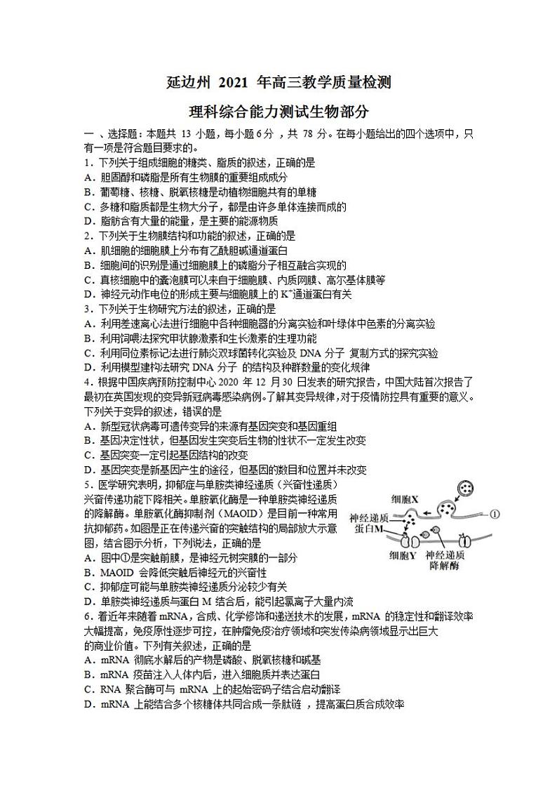 吉林省延边州2021届高三2月教学质量检测（一模）生物试题含答案01