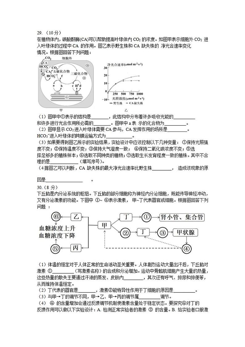 吉林省延边州2021届高三2月教学质量检测（一模）生物试题含答案02