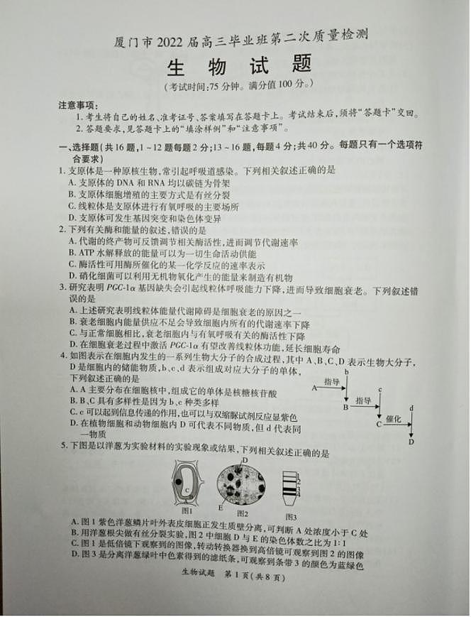 2022届福建省厦门市高三毕业班第二次质量检测（二模）生物试题含答案01