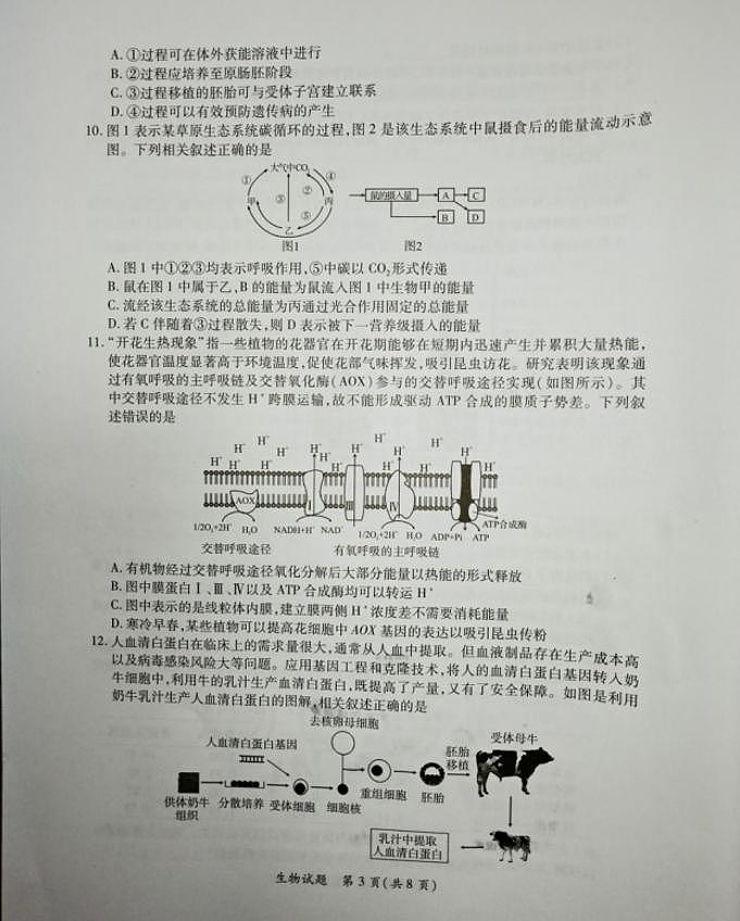 2022届福建省厦门市高三毕业班第二次质量检测（二模）生物试题含答案03