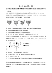 浙科版 (2019)必修2《遗传与进化》第二节 孟德尔从两对相对性状的杂交实验中总结出自由组合定律课后复习题