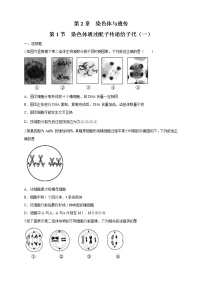 高中生物浙科版 (2019)必修2《遗传与进化》第一节 染色体通过配子传递给子代当堂检测题